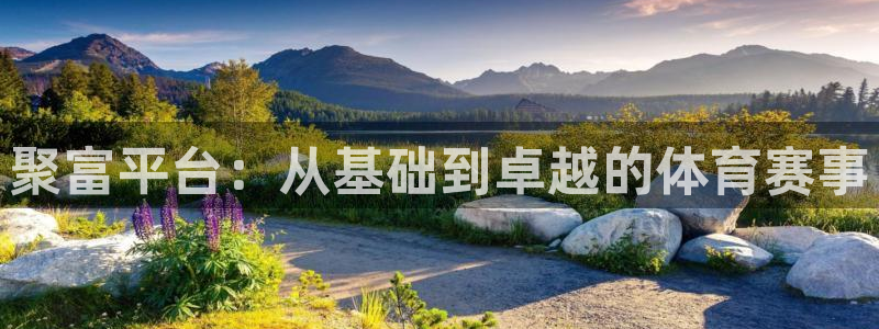 jdb官网：聚富平台：从基础到卓越的体育赛事