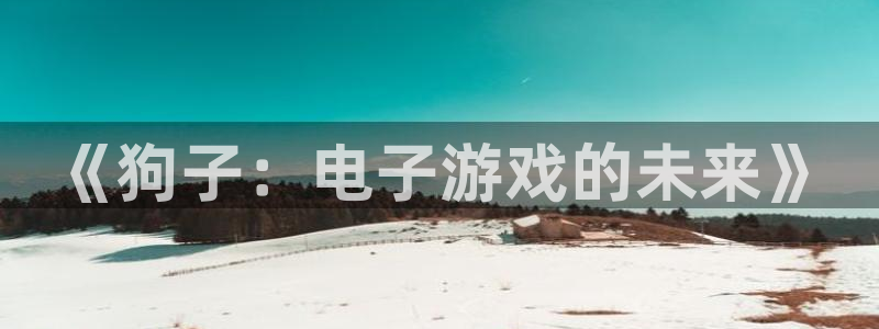 jdb电子哪个好赢钱：《狗子：电子游戏的未来》